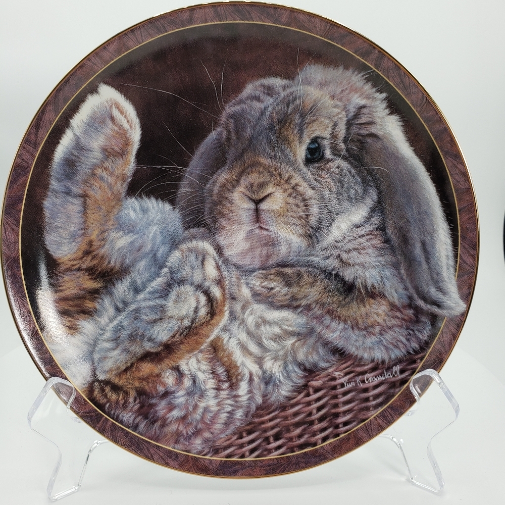 Bunny tales Footloose collector's plate. Vintage from Bradford Exchange.